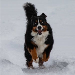 Meet your Posher, Dena